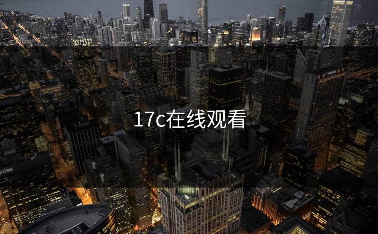 17c在线观看