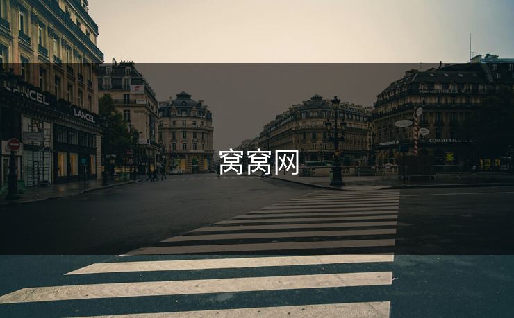 窝窝网