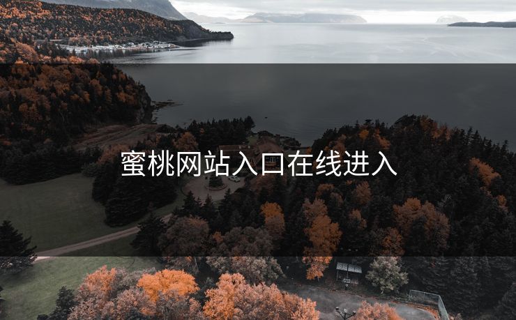 蜜桃网站入口在线进入