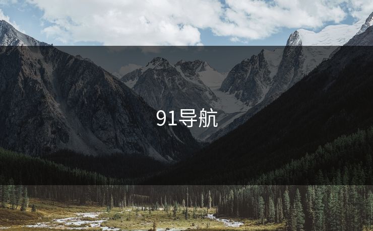 91导航