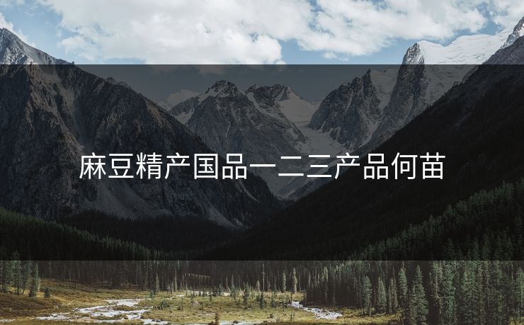 麻豆精产国品一二三产品何苗