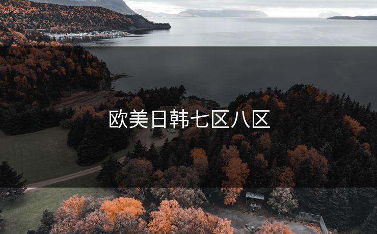 欧美日韩七区八区