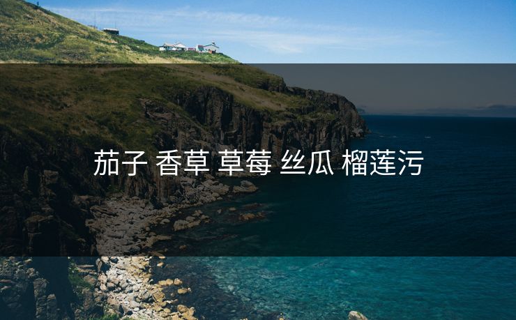 茄子 香草 草莓 丝瓜 榴莲污