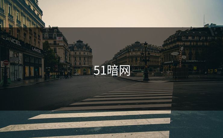 51暗网