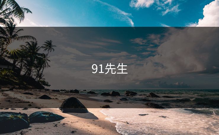 91先生