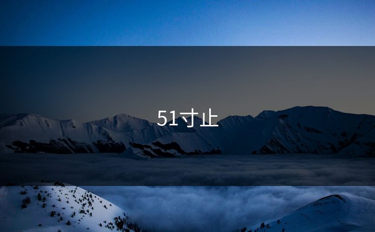 51寸止