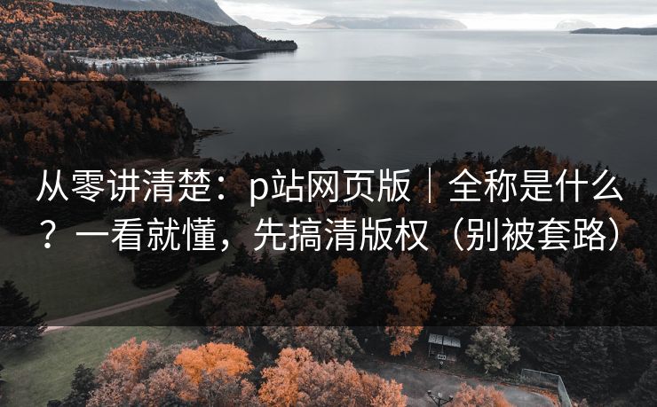从零讲清楚：p站网页版｜全称是什么？一看就懂，先搞清版权（别被套路）
